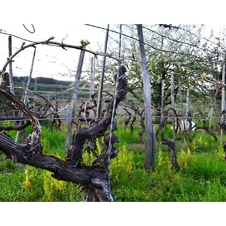 Apartmán Appealing With Terrace *