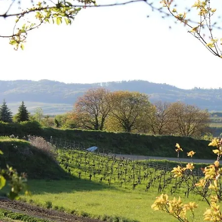 Apartmán Appealing With Terrace *