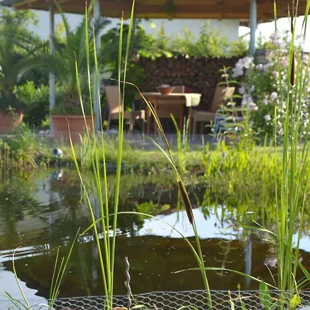 Appealing With Terrace Eichstetten