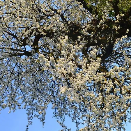 Apartmán Appealing With Terrace