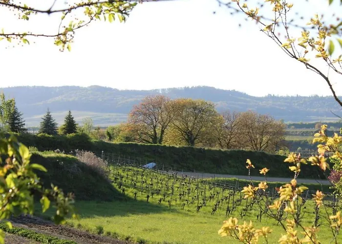 アパート Appealing With Terrace *