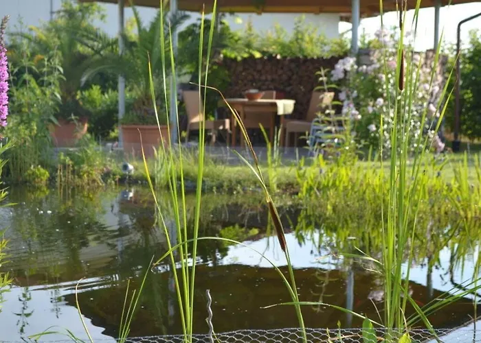 Appealing With Terrace Eichstetten