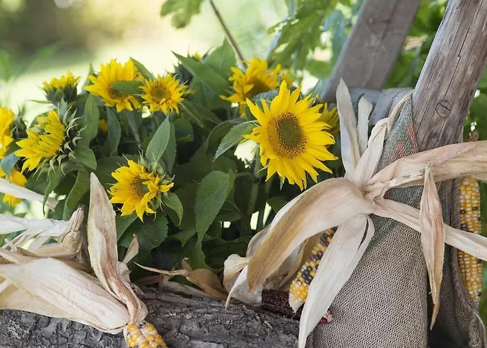 Appealing With Terrace アパート *