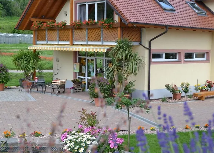 Appealing With Terrace *