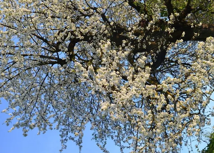 アパート Appealing With Terrace